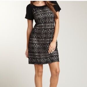 Phoebe Couture Black Lace Dress LBN